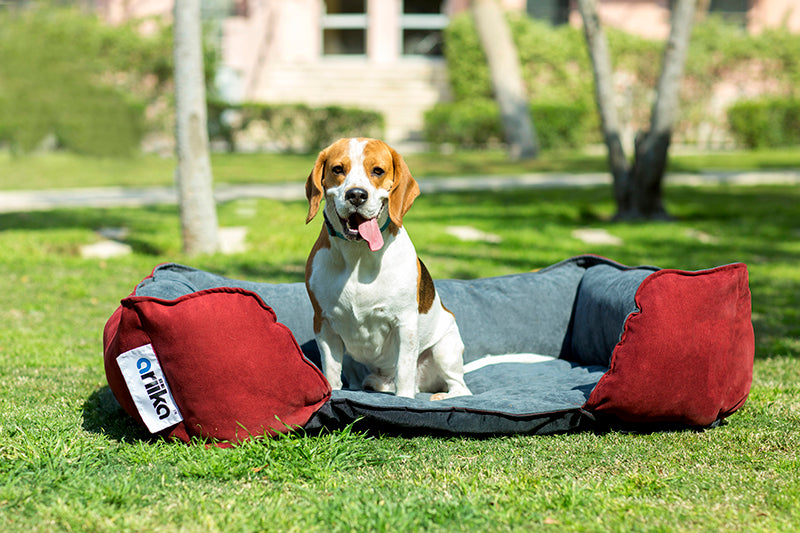 Mike Pet Bed