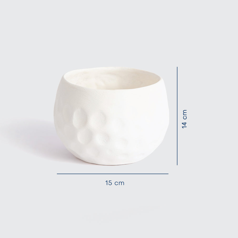 Beehive plant pot