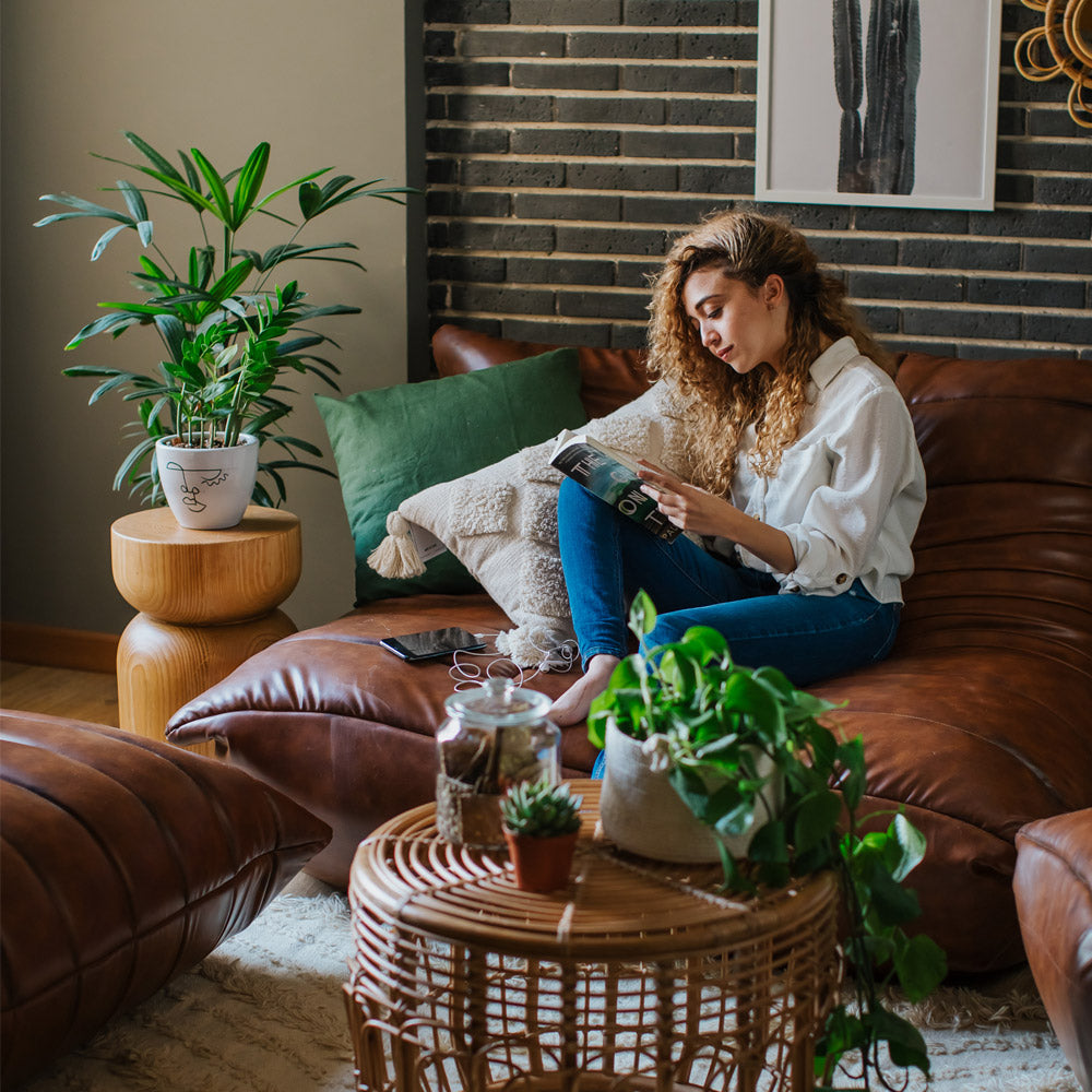 The Mellow Couch