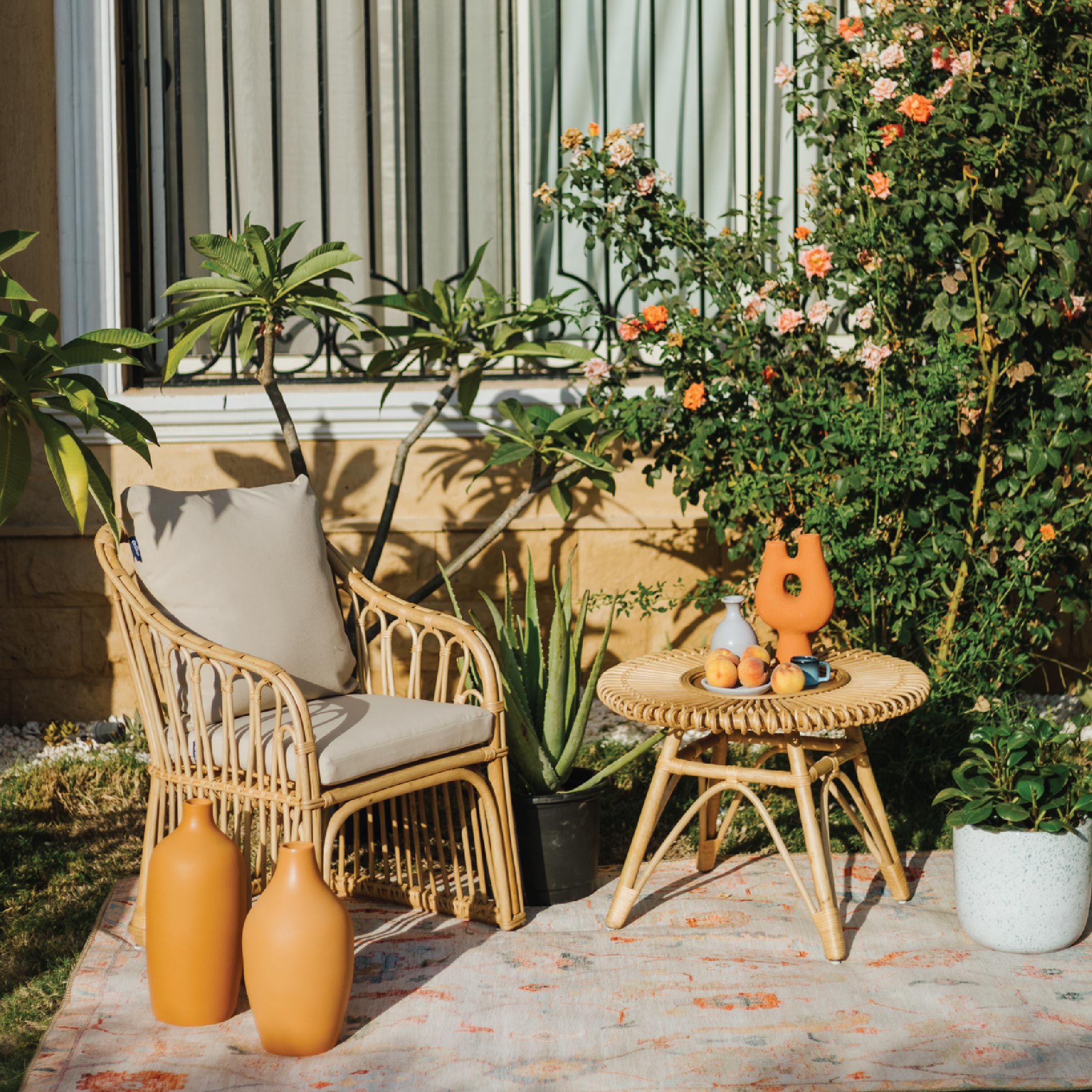 Arak Outdoor Rug