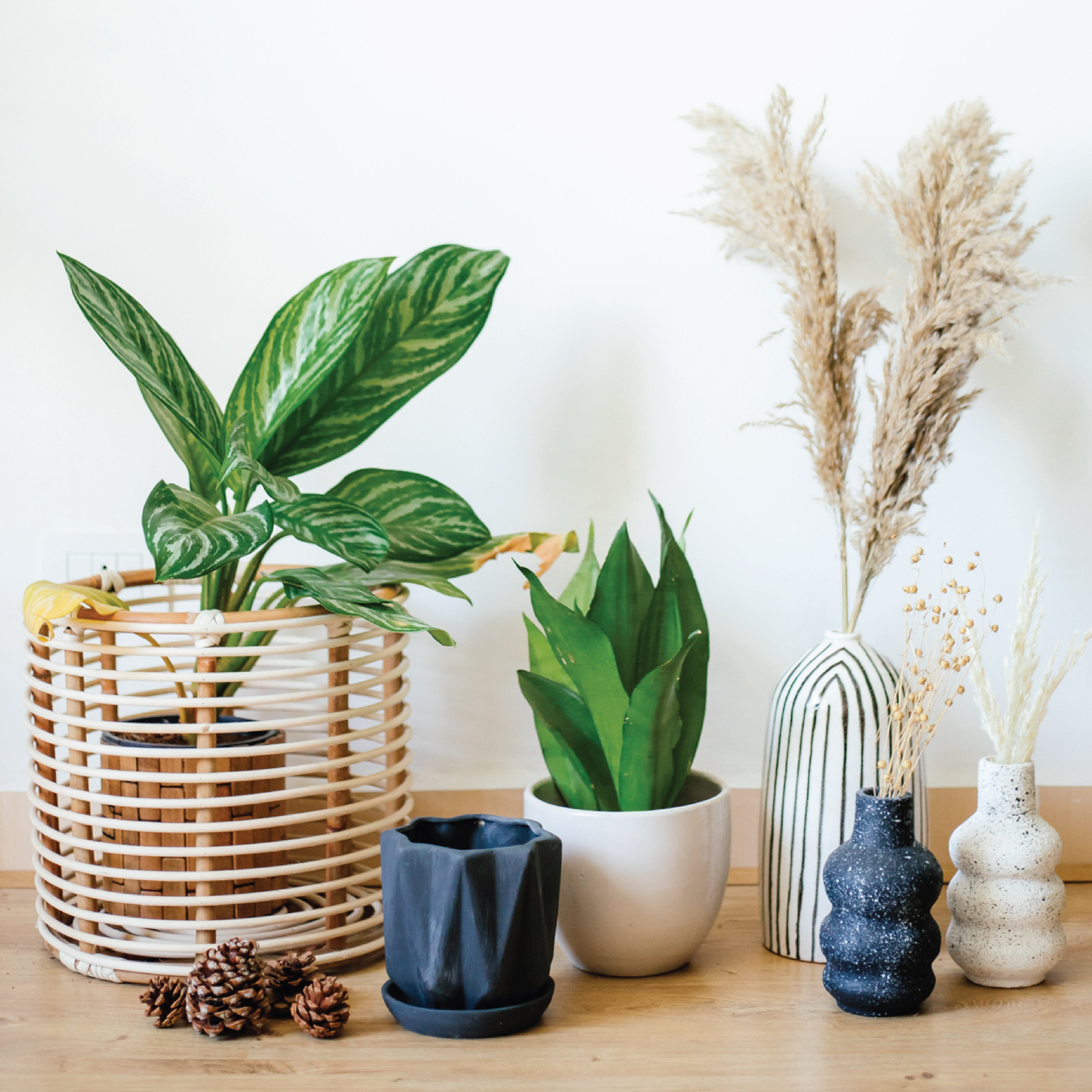 Crumple Plant Pot