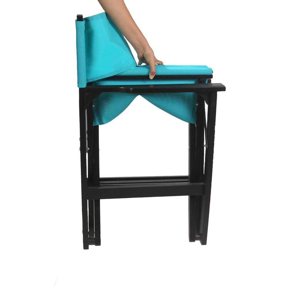 Director's Chair